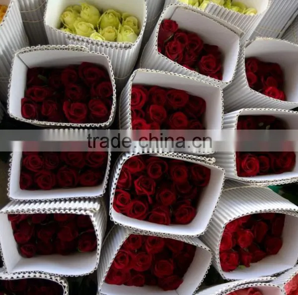 Cut Roses Exporters in India/tajmahal Roses Suppliers photo-6