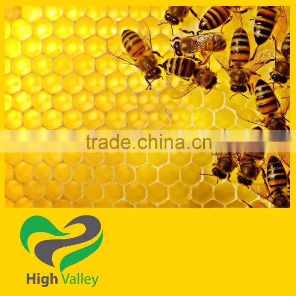 Wild Flower Honey 100% Natural - Best Price for Bulk