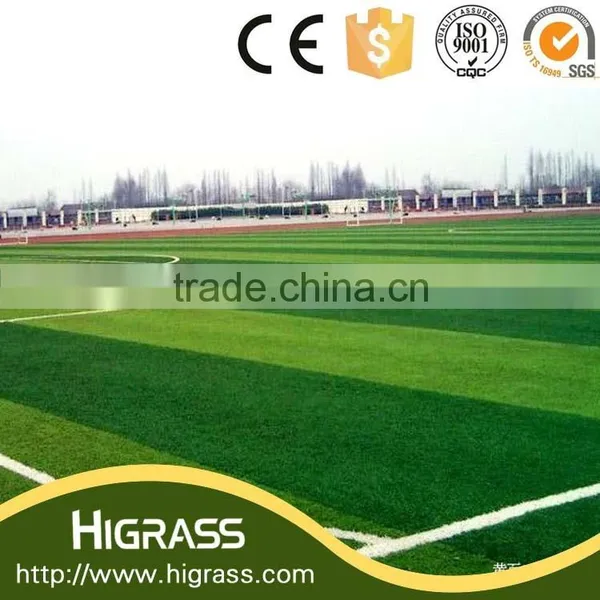 Plastic Grass Mat in Roll/artificial Turf Grass photo-3