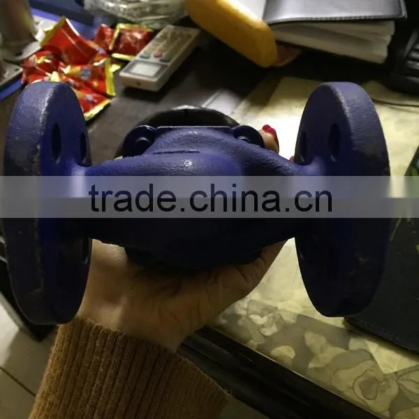 Bangladesh Cast Iron Globe Valve photo-5