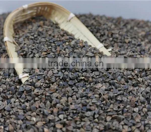 High Quality Raw Buckwheat Price photo-3