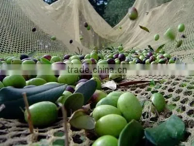 Agriculture HDPE Hexagon 55GSM Olive Net - Yellow / 60301-55 photo-3