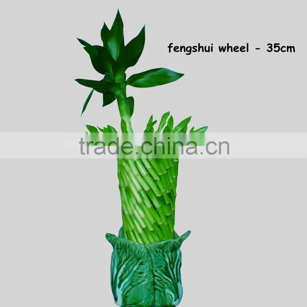 Fengshui Wheel Lucky Bamboo Air Bonsai Tree Dracaena Sanderiana Indoor Ornamental Aquatic Water Plants Nursery Garden Decoration photo-6