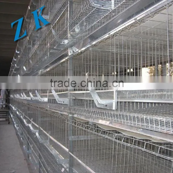 Chicken Farm Equipment Cage for Growing Broiler photo-2