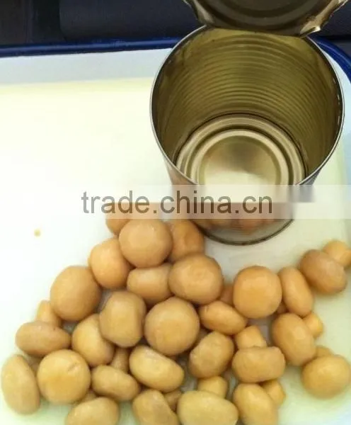 Canned Mushroom Whole in Brine photo-2