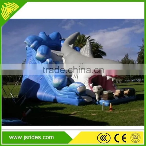 Hot Selling Giant Inflatable Water Slide For Kids And Adults Inflatable Slide photo-3