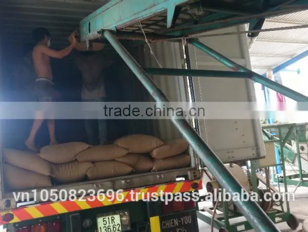 ARABICA GREEN COFFEE BEANS- High Quality photo-4