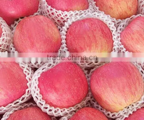 New Crop Fresh Fuji Apple photo-4