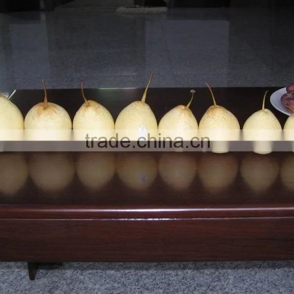 Ya Pear photo-6