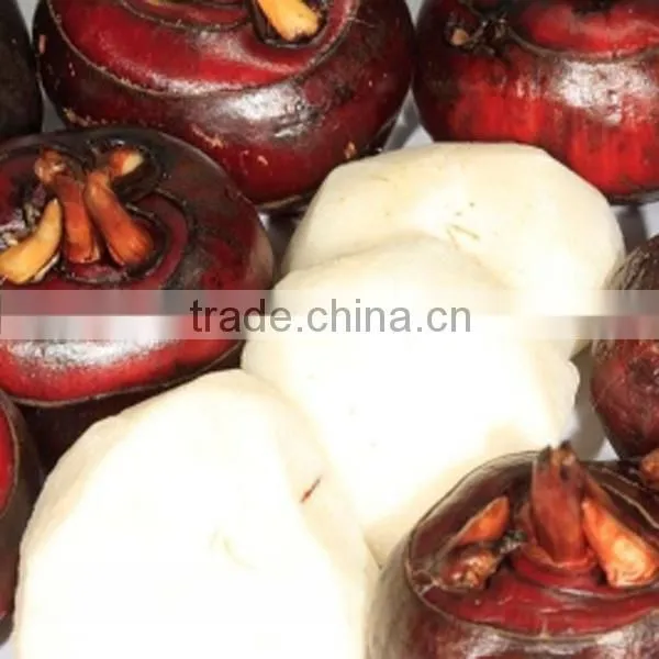 Food Price List Canned Water Chestnut for Sale