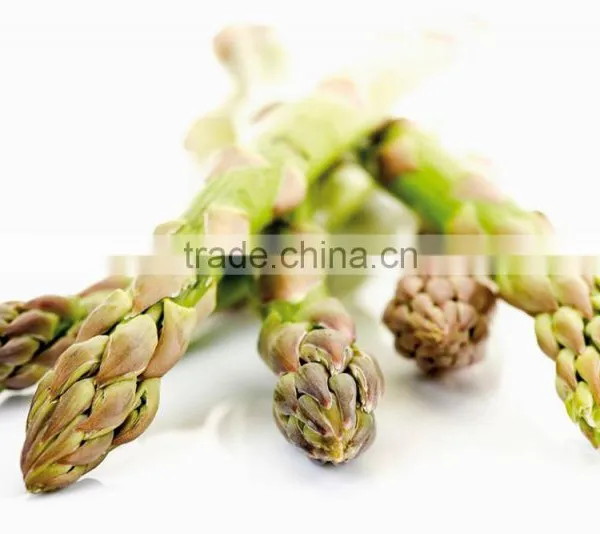 Frozen Asparagus, IQF Asparagus photo-6