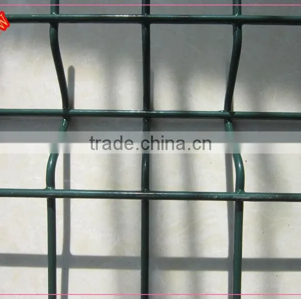 RAL6005 Powder Coated 5mm Wire Welded 4 Bending Mesh Panels 2.5x1.63m 50x200mm Aperture Sqaure Post Fencing photo-3