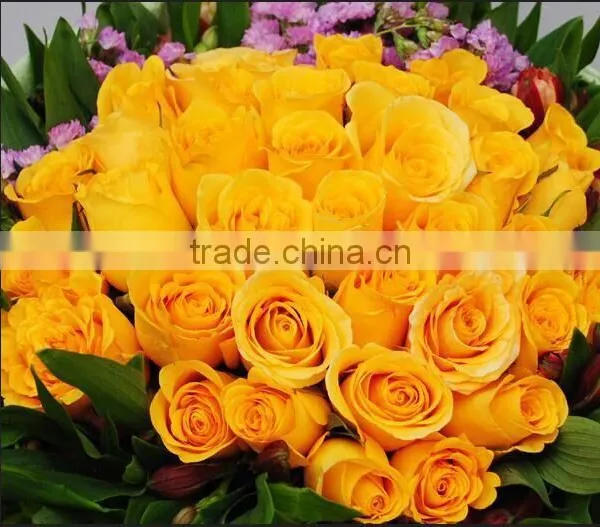 Fresh Cut Yellow Roses Flower Fresh Cut Flowers Top Quality photo-2