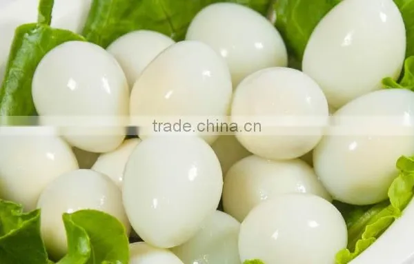 High Quality 50kg/h, 100kg/h,150kg/h, 250KG/H New Design Quail Egg Peeler Machine photo-3