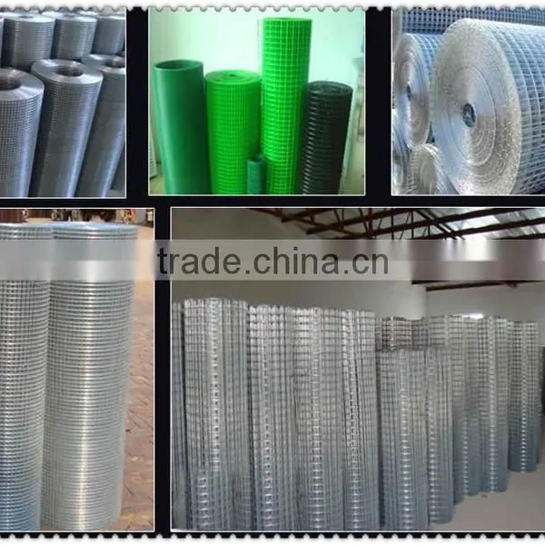 2x2 Galvanized Welded Wire Mesh Panel Galvanized Welded Wire Mesh Galvanized Welded Wire Mesh Chian Supplier photo-5