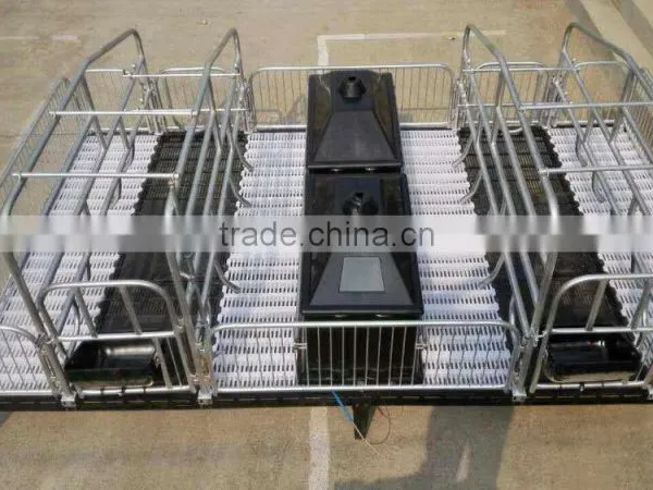Piglet Incubator for Pig Equipment photo-3