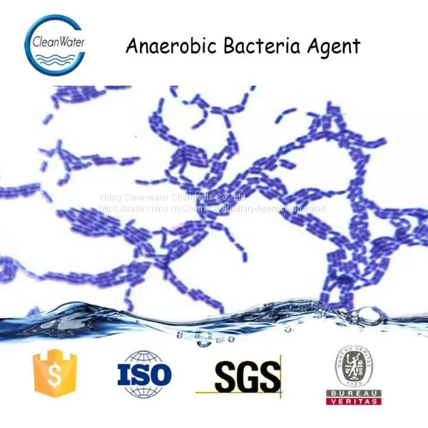 Anaerobic Bacteria Agent