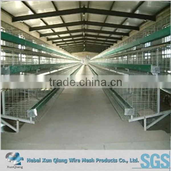 Layer Cages/Chicken Layer Cages/ Laying Chicken Cages