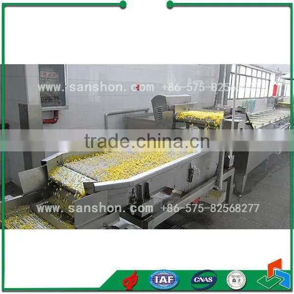 Vibrative Air Blast Fruit Drying Machine photo-5