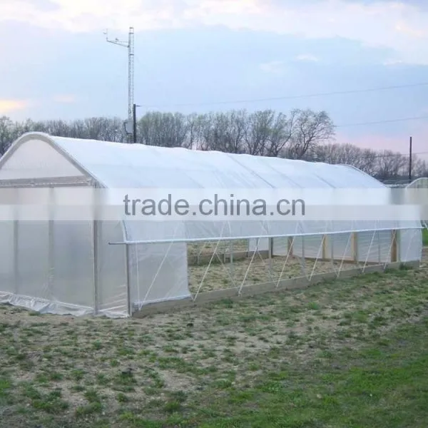 Tunnel Agriculture Greenhouse for Vegetable photo-5