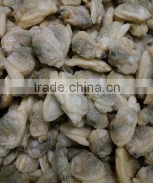 Short Necked Clam Meat For Frozen and Boiled IQF photo-2