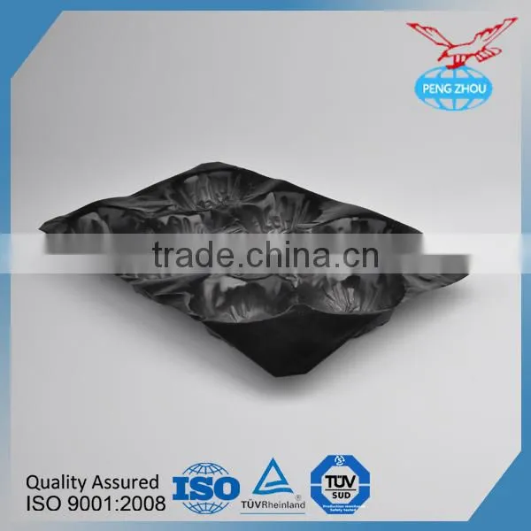 FDA Approved PP Material Vacuum Formed Blister Disposable Plastic Fruit Tray Display For Fruit Packaging photo-4