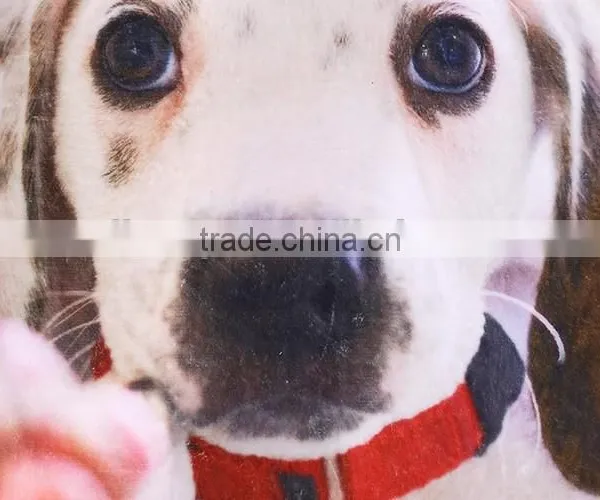 Custom Full Screen Printing Fleece Thermal Throw Carpet For Dogs photo-3