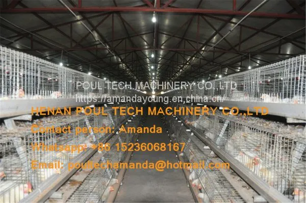 Nepal Poultry Farming Equipment Broiler Cage & Broiler Coop & Meat Chicken Cage in Chicken Shed photo-2