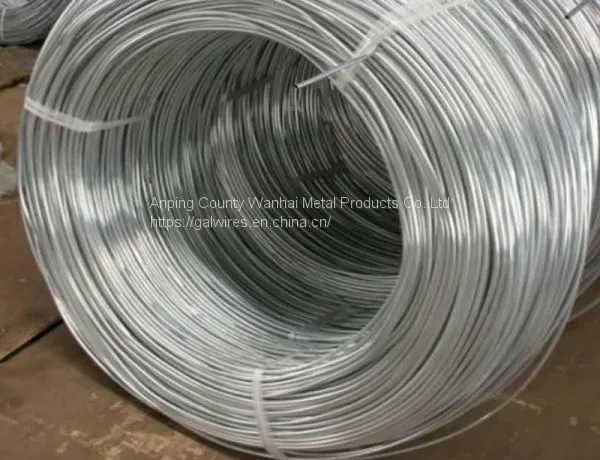 Electro Galvanized Iron Wire photo-3