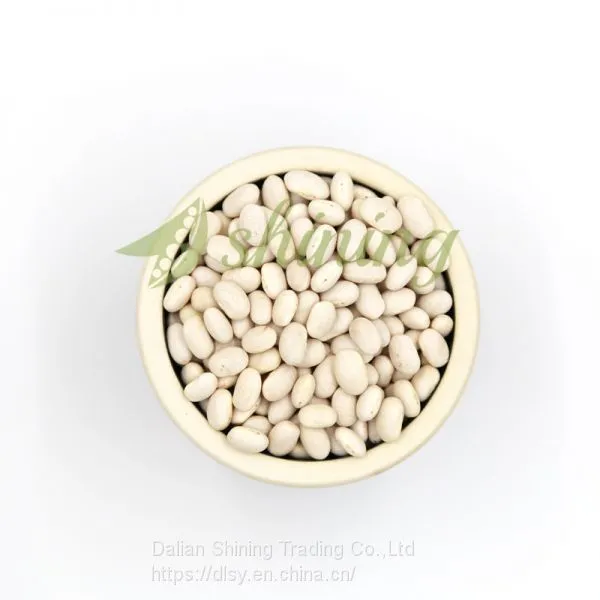 Factory Supply Kinds of White Kidney Beans