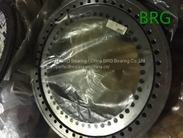 SKF Slewing Bearing RKS.21 0411 Bearings RKS.21 0541 SKF/INA/THK From Benmao BRG Bearing