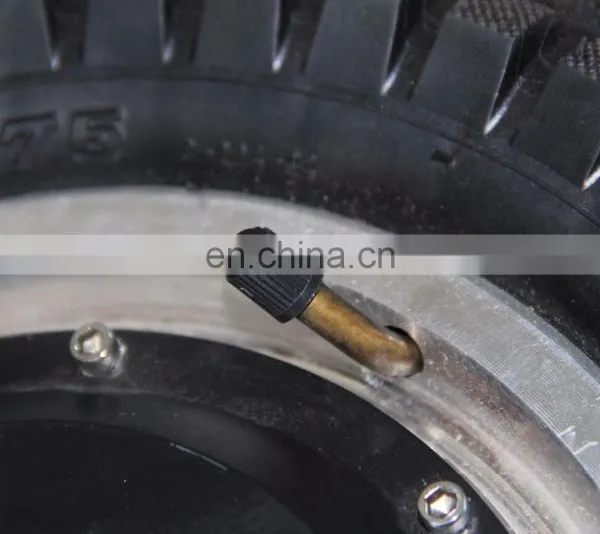 Durable12 Inch Disc Brake BLDC Hub Motor photo-5