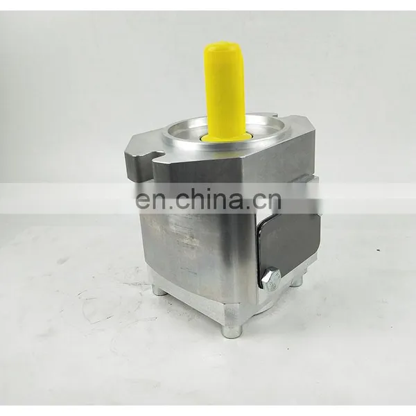 Eckerle Hydraulic Pump Oil Pump EIPC5 Series Gear Pump for Injection Molding Machine EIPC5-080RA23-10 photo-2