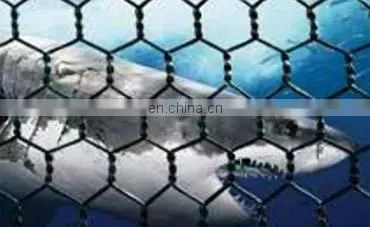 Factory Pet Fish Farming Cage Netting Agriculture Fish Farm Nets Hexagonal Wire Mesh photo-5