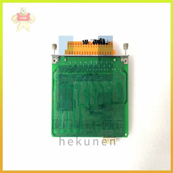 ABB AIM0006 AIM0016 Communication Interface Module Analog Output Module in Stock photo-4