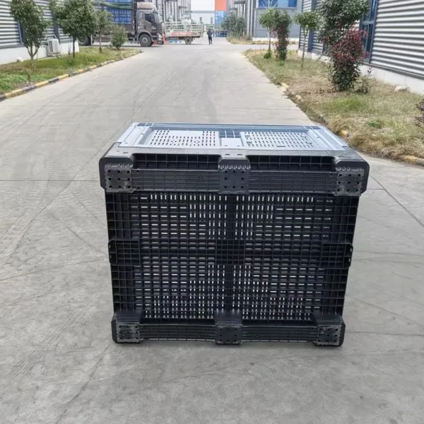 FDA Approved Plastic Pallet Container Hygienic for Cold Chain Fresh Fruit Export photo-4
