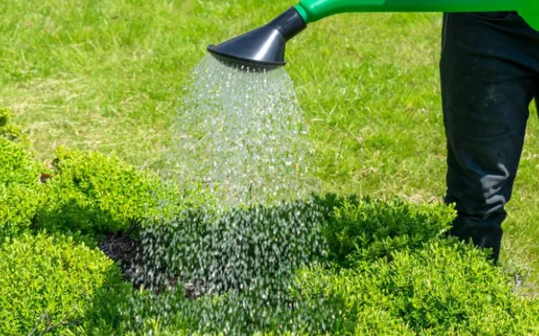 10L Garden Watering Can - Bulk Order Discount photo-4