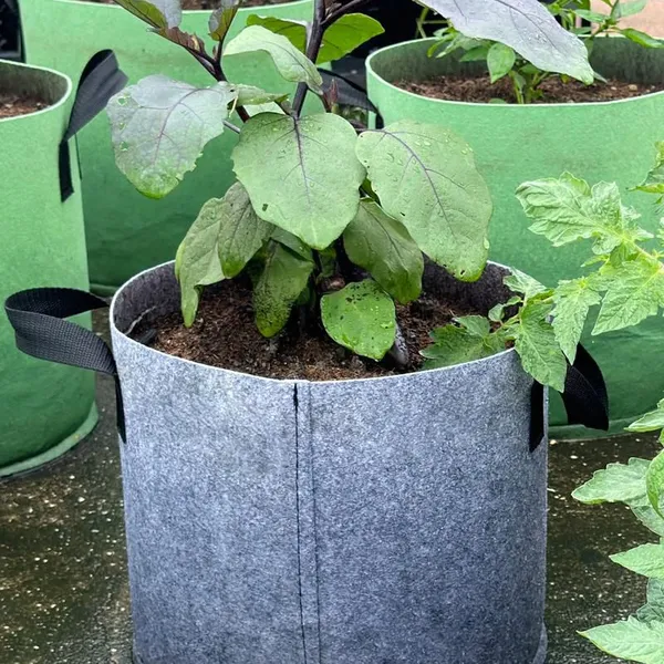 Eco-Friendly Fabric Grow Bags for Indoor and Outdoor Plants photo-5