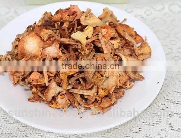Wild Organic Dry Cantharellus Cibarius Mushroom / Chanterelle photo-4