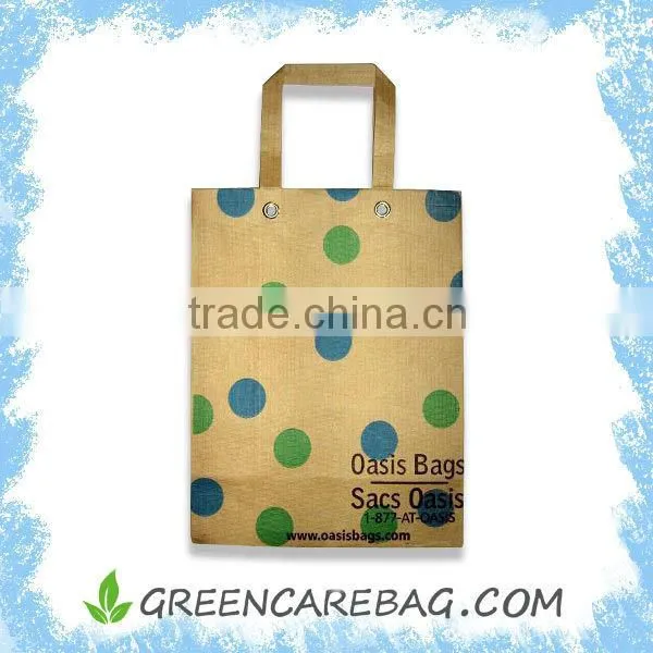 2014 Paper Laminated pp Woven Bag