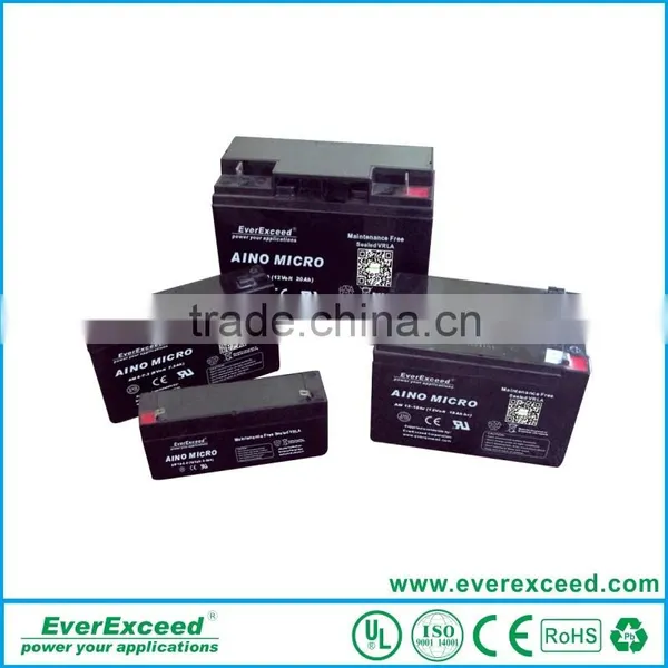 EverExceed Sealed Valve Regulated Lead Acid Battery for E-bike AM12-22