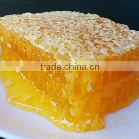 Food Grade Thickener for Honey Processing,honey Vacuum Concentration photo-2