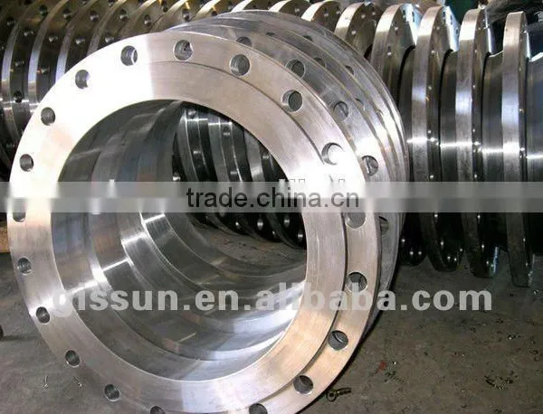 Stainless Steel Standard Different Kinds of Forged Flange photo-2
