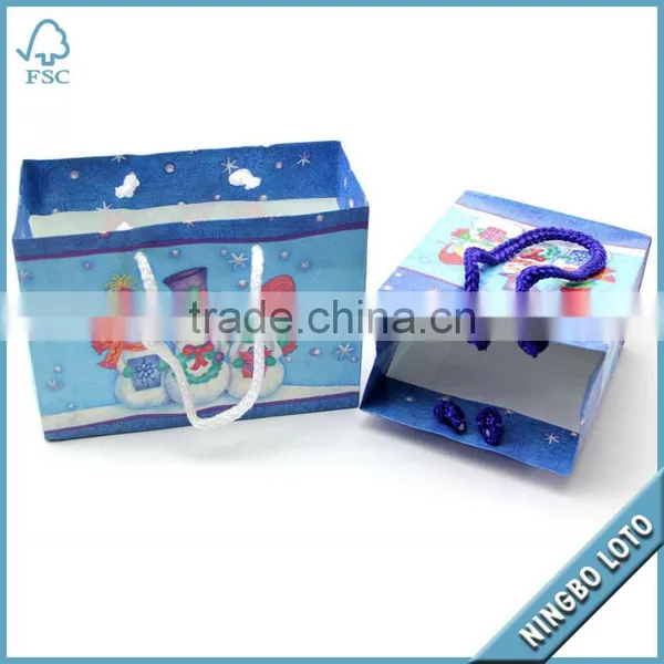 Washable Paper Bag