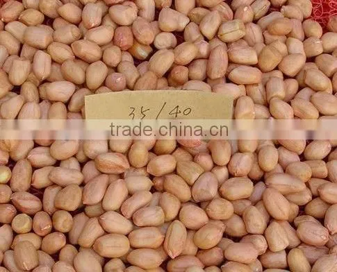 Raw Peanut Kernel for Sale photo-2
