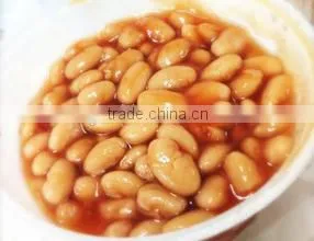 Canned Black Kidney Beans in Brine photo-6
