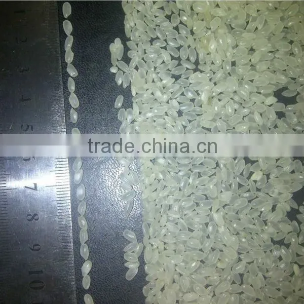 Camolino Rice Oil Polished photo-3