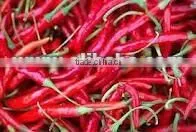 Indian Dry Red Chilli