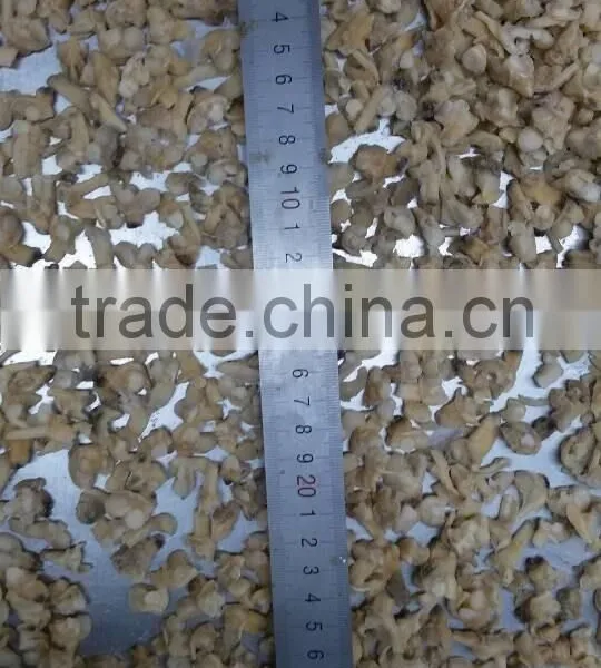Frozen Chopped Short Neck Clam Meat With Stomach Removed photo-3