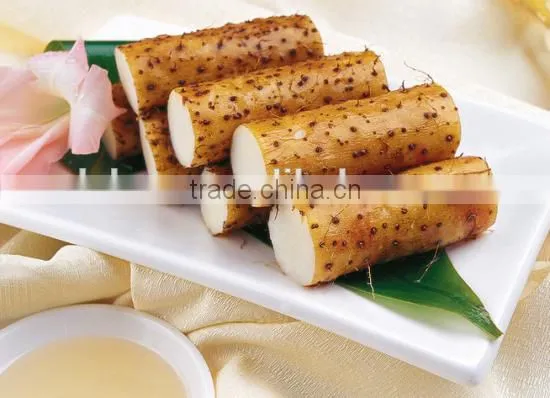 Zhenjiang Company Pure Common Yam Rhizome Extract Powder/chinese Yam Yam